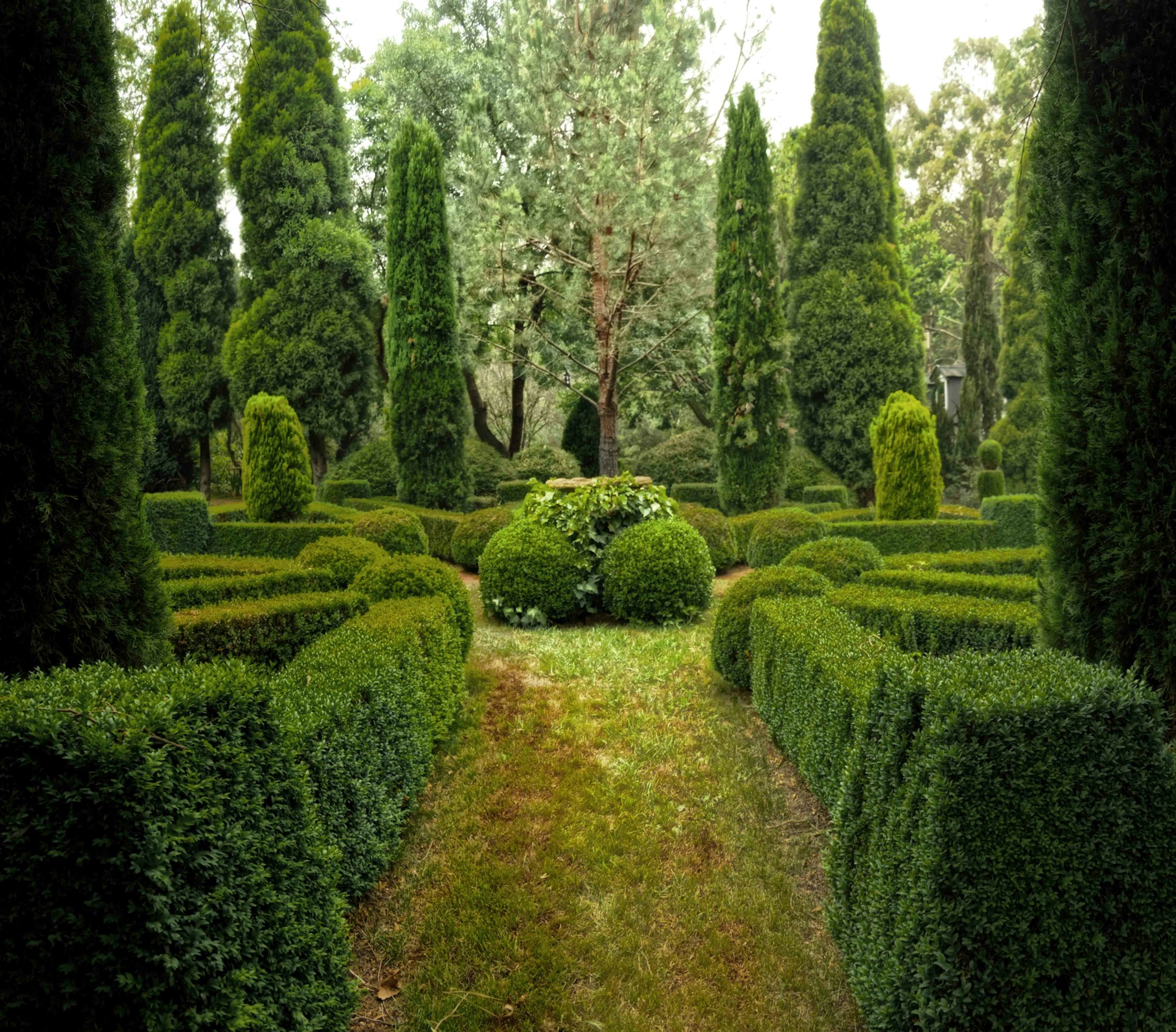 Jardin structuré de cyprès et de buis taillés